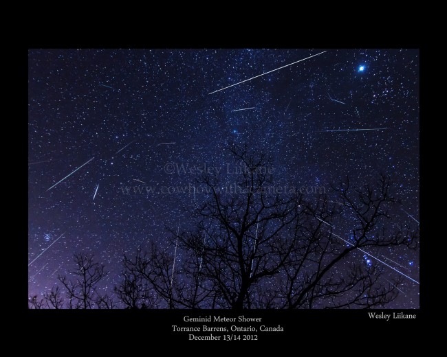 Geminid Meteor Shower Composite Image - Torrance Barrens, Ontario, Canada December 13/14, 2012 Photos by Wesley Liikane