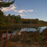 Fall Ontario Canada Muskoka Fog Night