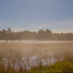 Fall Ontario Canada Muskoka Fog Night