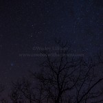 Geminid Meteor Shower - Torrance Barrens, Ontario, Canada December 13/14, 2012 Photos by Wesley Liikane