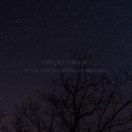 Geminid Meteor Shower - Torrance Barrens, Ontario, Canada December 13/14, 2012 Photos by Wesley Liikane