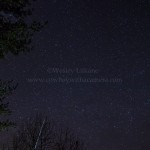 Geminid Meteor Shower - My backyard, Ontario, Canada December 14, 2012 Photos by Wesley Liikane