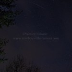 Geminid Meteor Shower - My backyard, Ontario, Canada December 14, 2012 Photos by Wesley Liikane